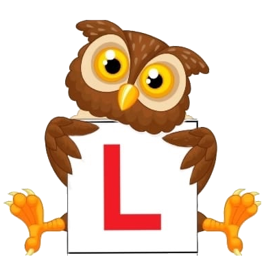 DriveWize Logo
